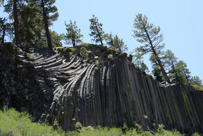 DSC_3672 (Large).JPG